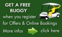 get_afree_buggy_mo
