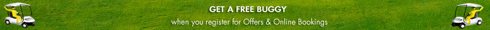 top_free_buggy